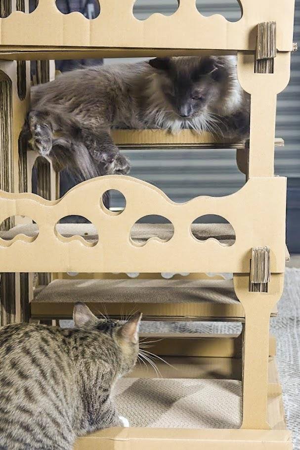 Kraft Cat House F8152
