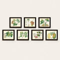Botanical Art 44x22 x 38x22 P3589
