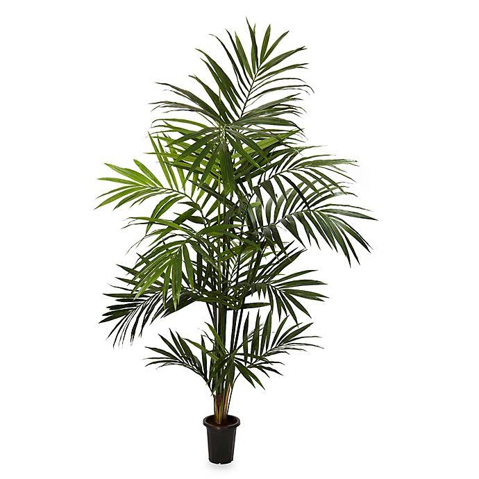 7 ft Kentia Palm Silk Tree with Plastic Pot Green E49237
