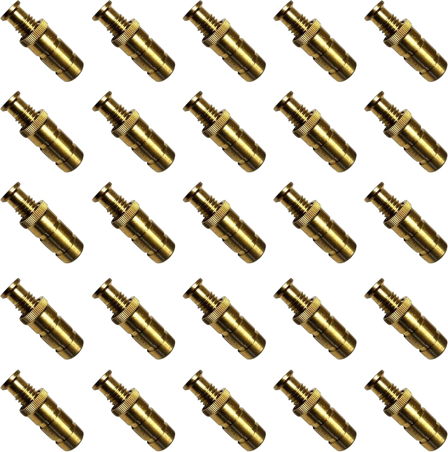 Pool Safety Cover Brass Anchors for Concrete and Pavers - 25 Pack R97765