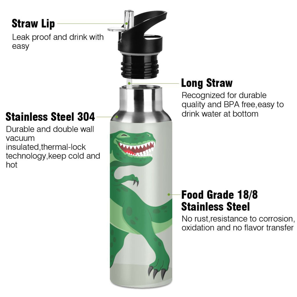 Stainless Steel Vacuum Insulated Water Bottle with Straw Lid 20 OZ Q66603