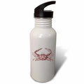 21 oz Sports Water Bottle Z5921