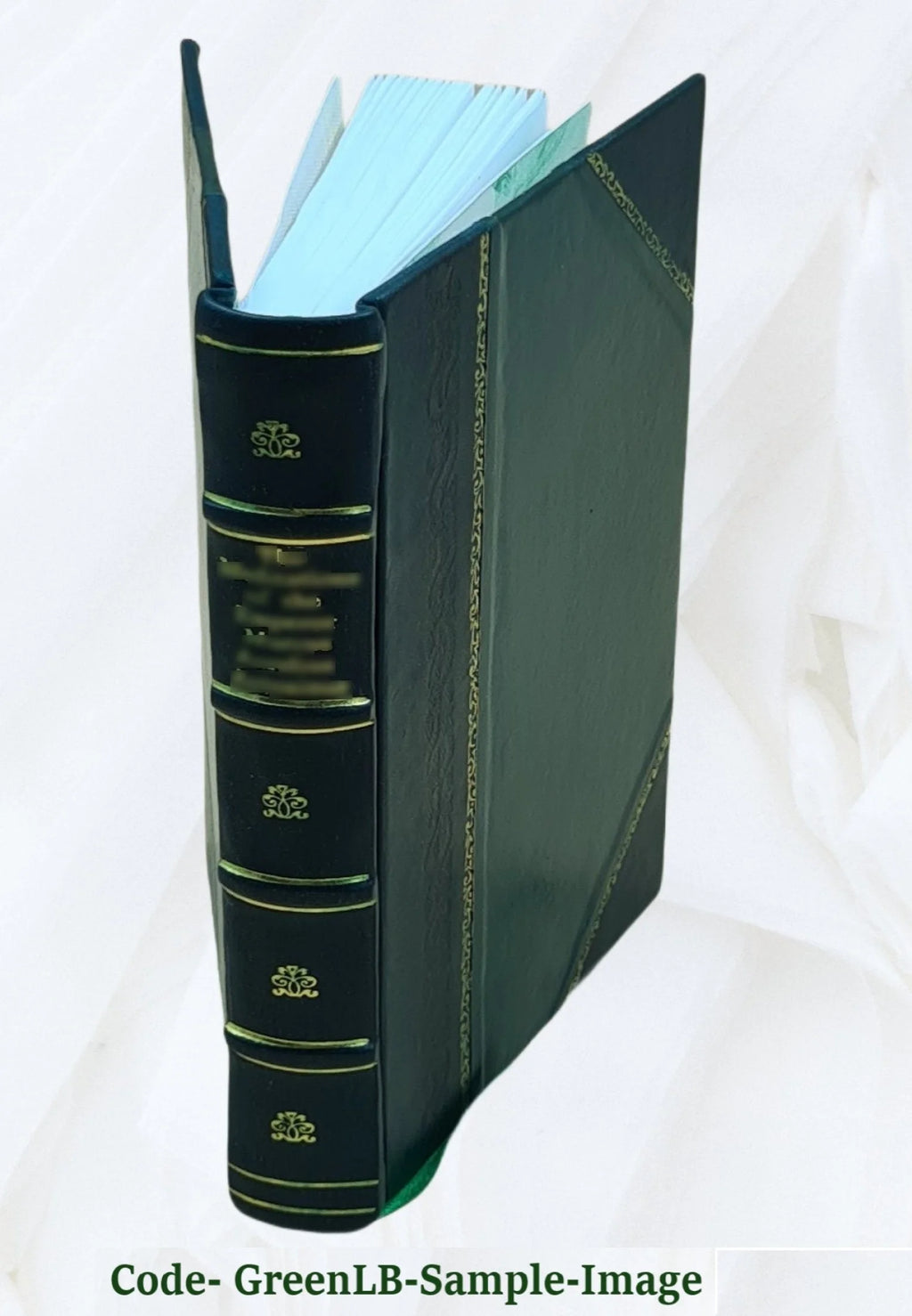 Leather Bound Book R316
