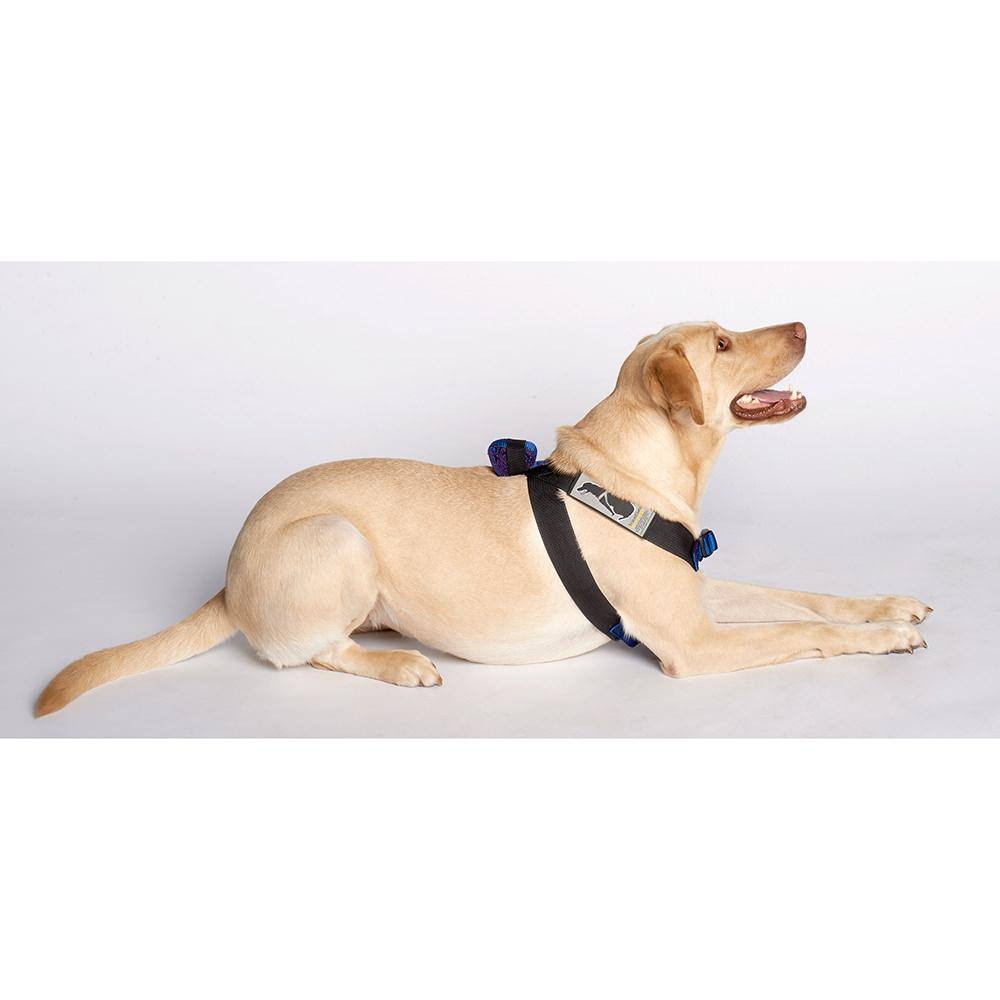 Pink Travel Safe Harness C329003