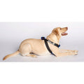 Pink Travel Safe Harness C329003