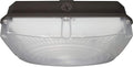 LED Canopy Fixture, 28W, 4000K P3886