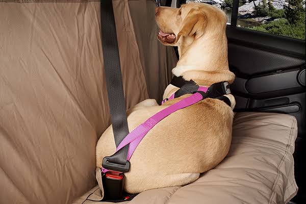 Pink Travel Safe Harness C329003