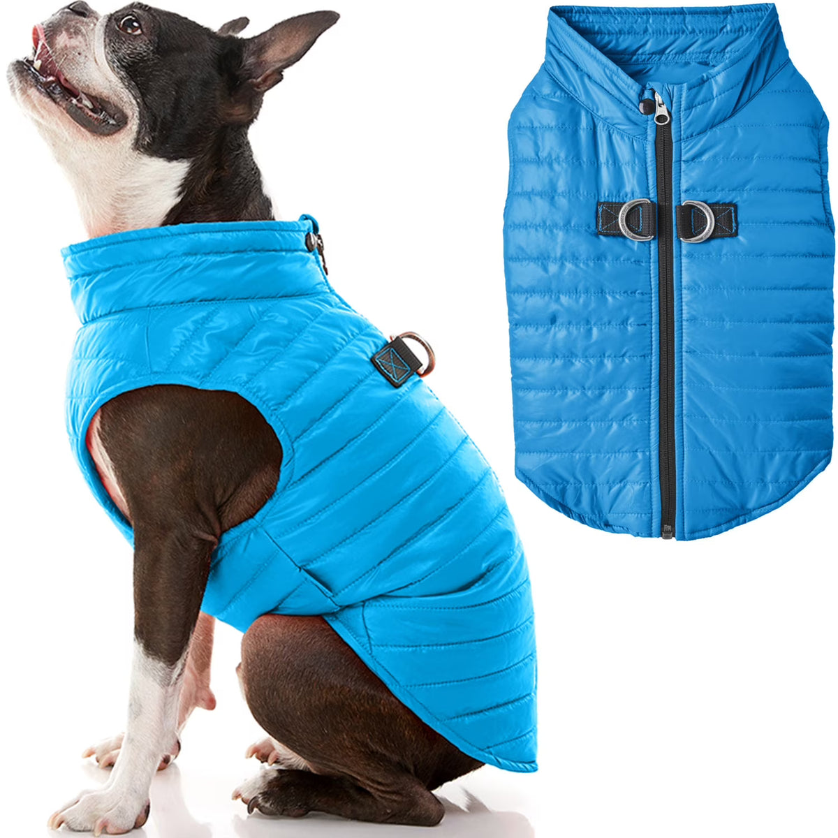 Blue Large Zip Up Dog Jacket S3288