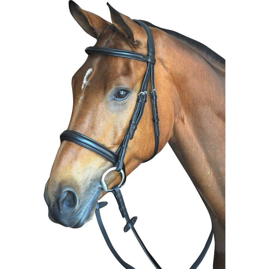Black Full Padded Raised Cavesson Bridle S565