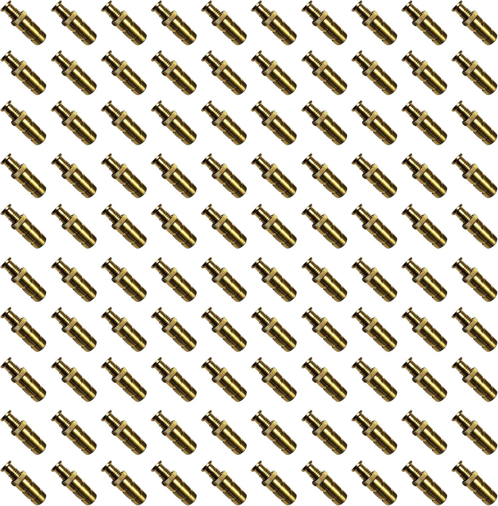 Pool Safety Cover Brass Anchors for Concrete and Pavers - 25 Pack R97765