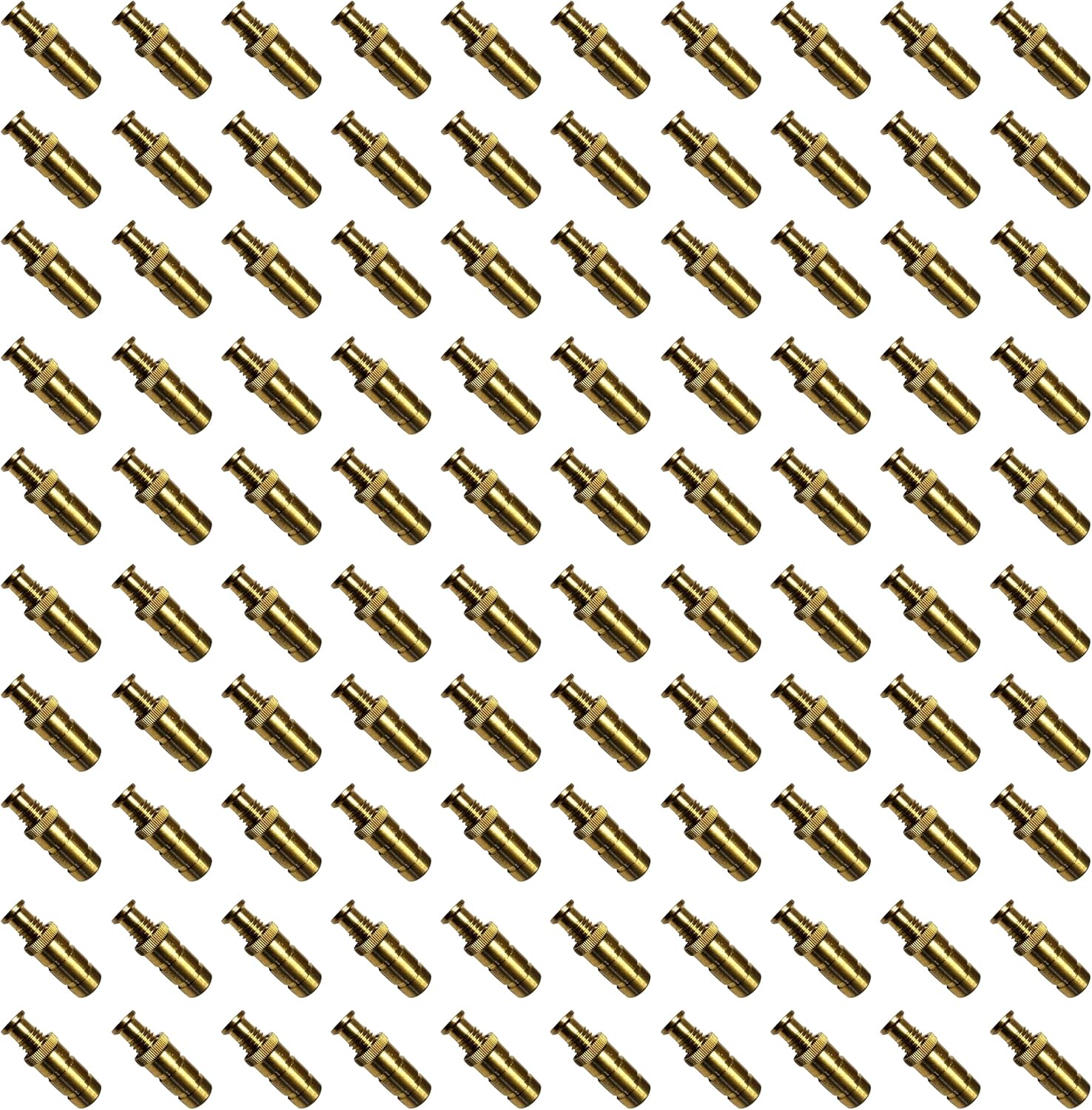 Pool Safety Cover Brass Anchors for Concrete and Pavers - 25 Pack R97765
