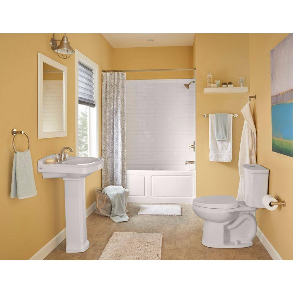 Brushed Nickel Bathroom Faucet F102