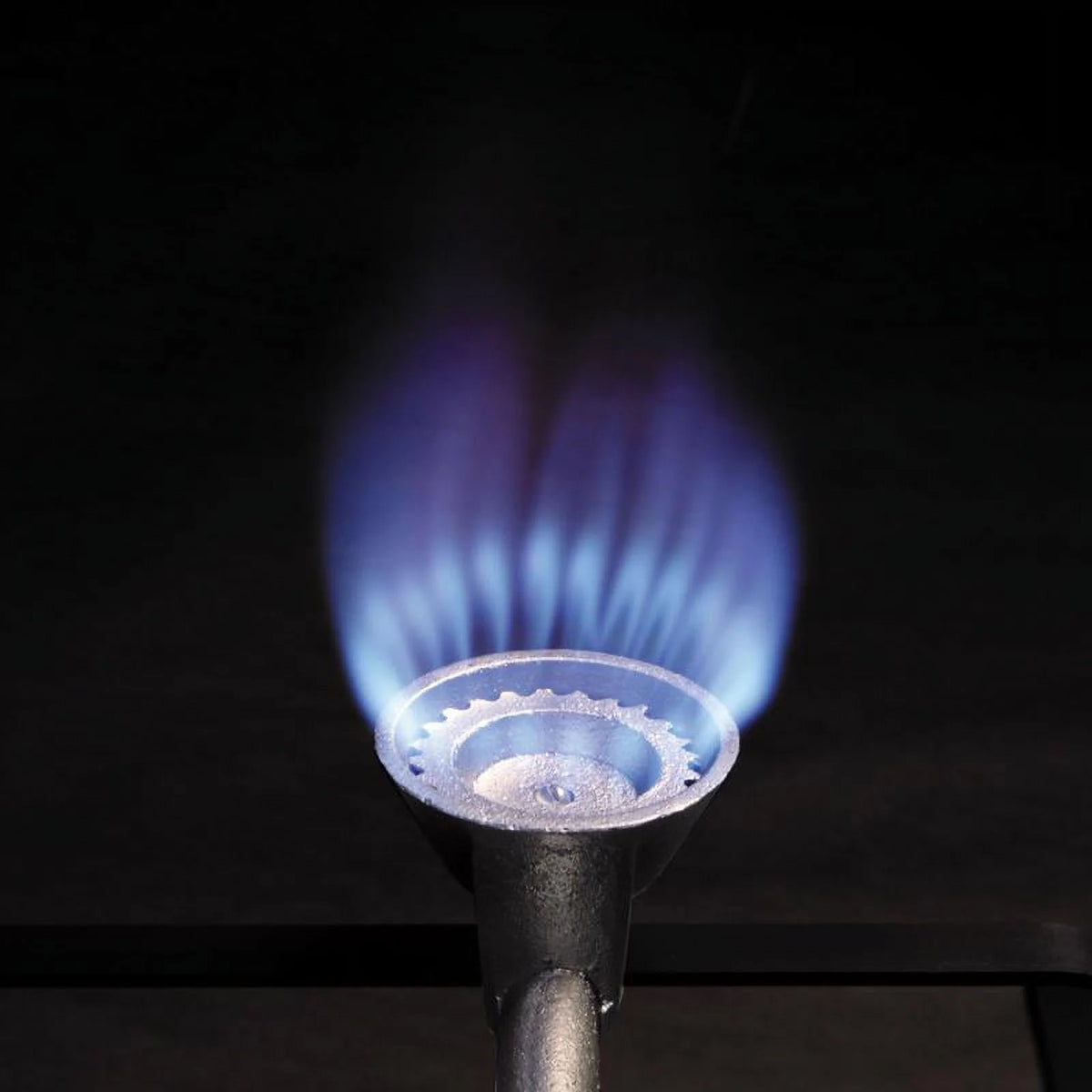 Single Burner High Pressure Outdoor Gas Cooker W896