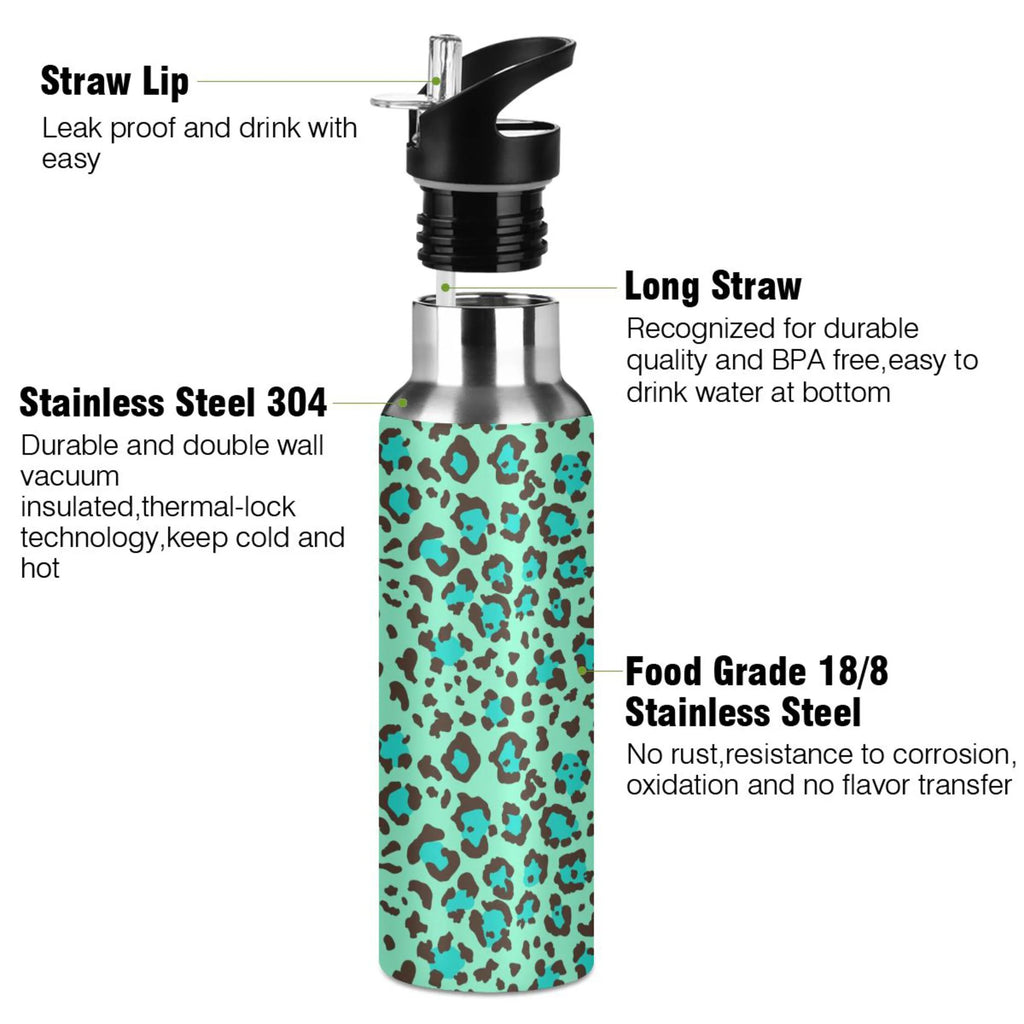 20 OZ Stainless Steel Vacuum Insulated Water Bottle with Straw Lid M768438