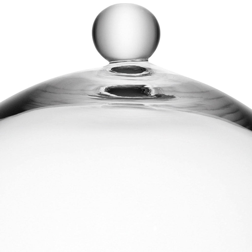 Clear Cake Stand and Cover B9656