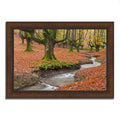 Framed Photograph Print P269975