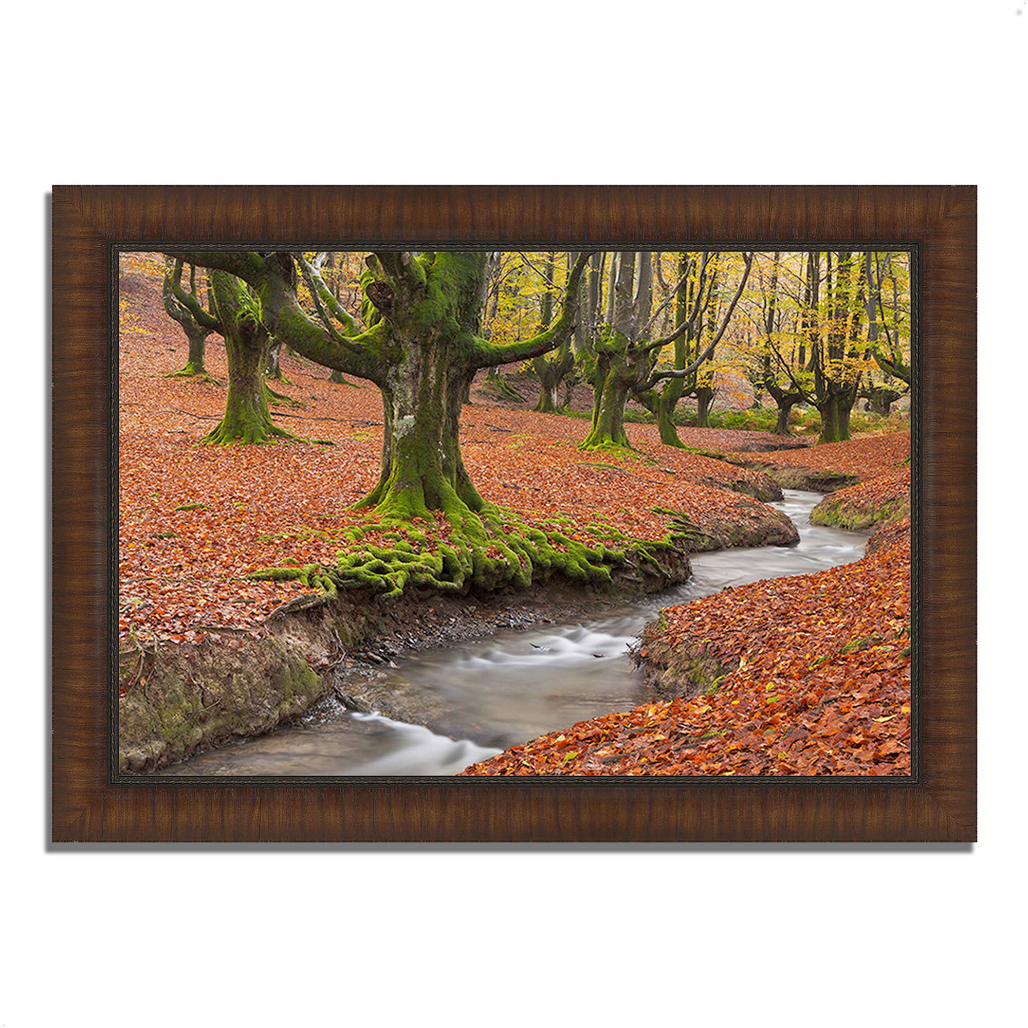 Framed Photograph Print P269975