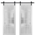 Sliding Barn Door with Hardware and Frosted Glass O261