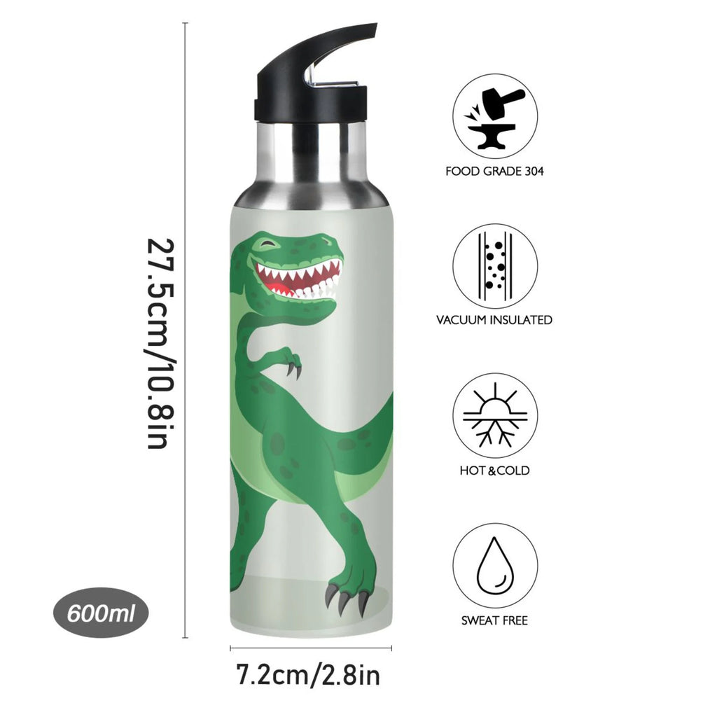 Stainless Steel Vacuum Insulated Water Bottle with Straw Lid 20 OZ Q66603