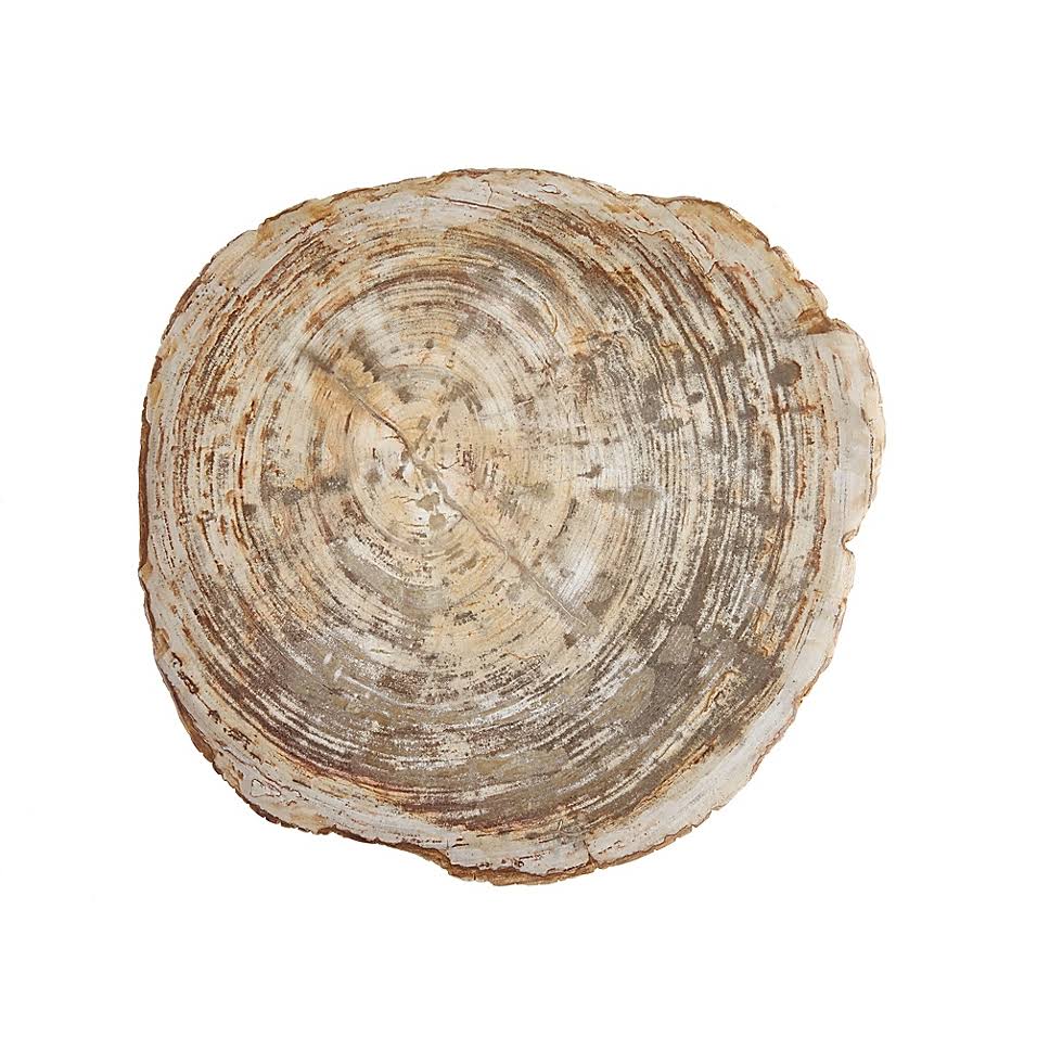 Petrified Slice Platter O9560