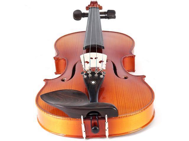 1/2 Solid Wood Violin with Case S513374