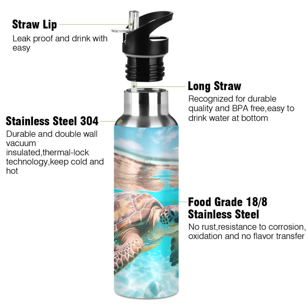 20 oz Insulated Stainless Steel Thermos Bottle with Straw Lid V143