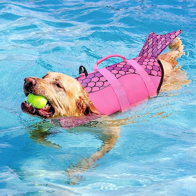 Dog Life Jacket with Rescue Handle Y930