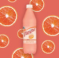 Grapefruit Mineral Spring Water, 20.3 Fluid Ounce Bottle (Pack of 12) N9752
