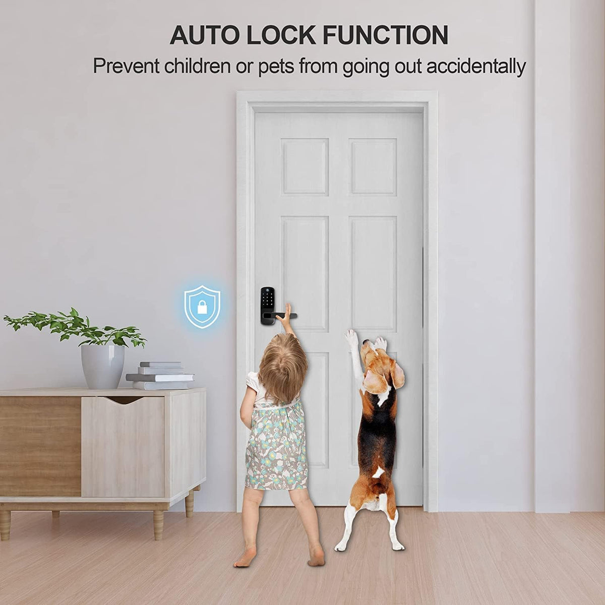Keyless Entry Smart Door Lock with Keypad, Black E886676