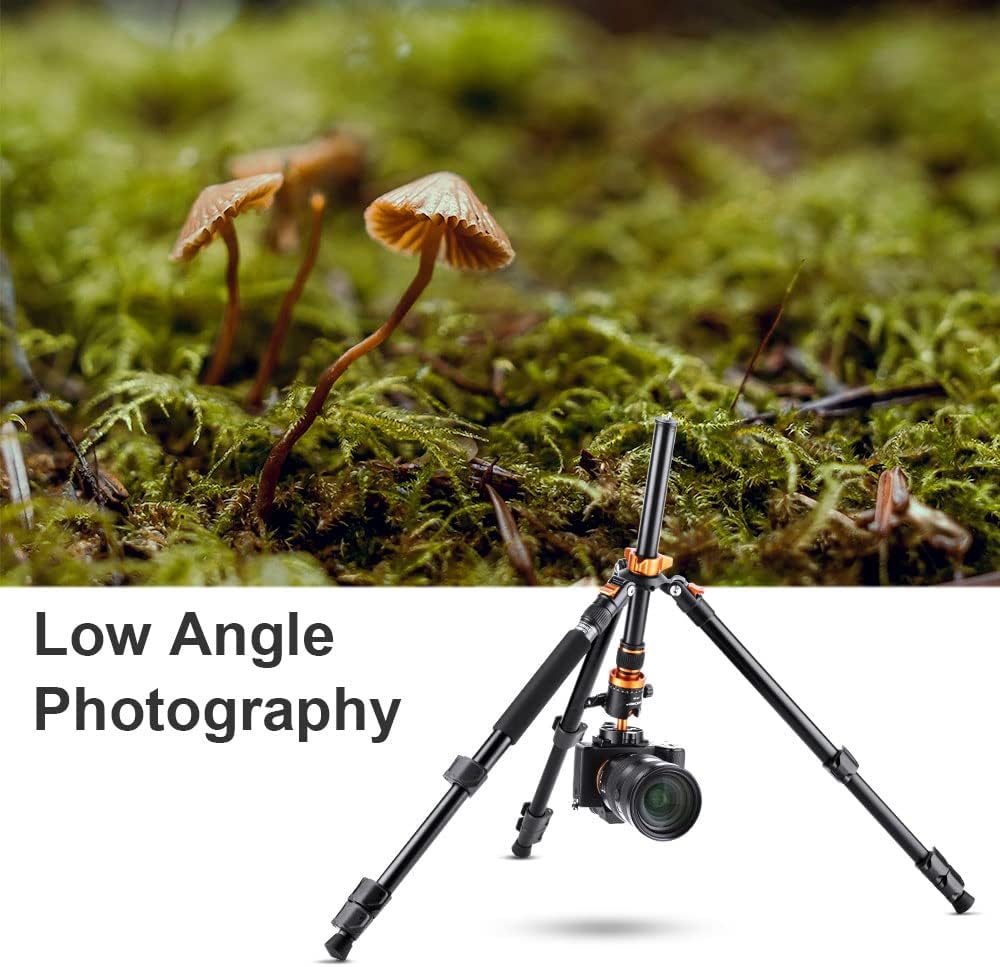 62 inch DSLR Camera Tripod with Monopod and Aluminum Alloy Quick Release Plate G3033