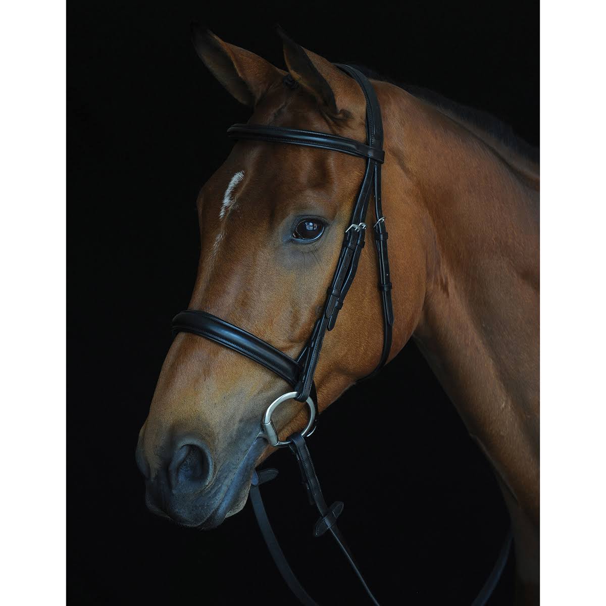Black Full Padded Raised Cavesson Bridle S565
