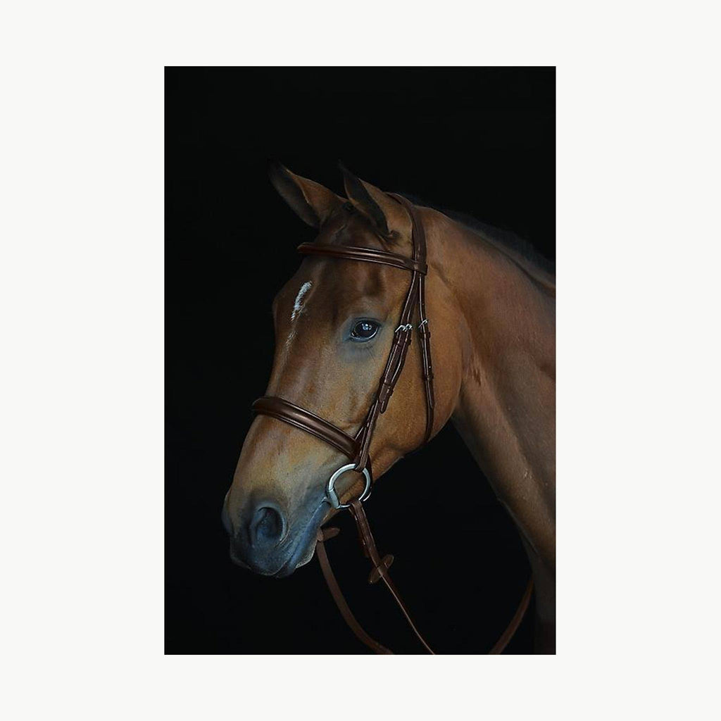 Black Full Padded Raised Cavesson Bridle S565