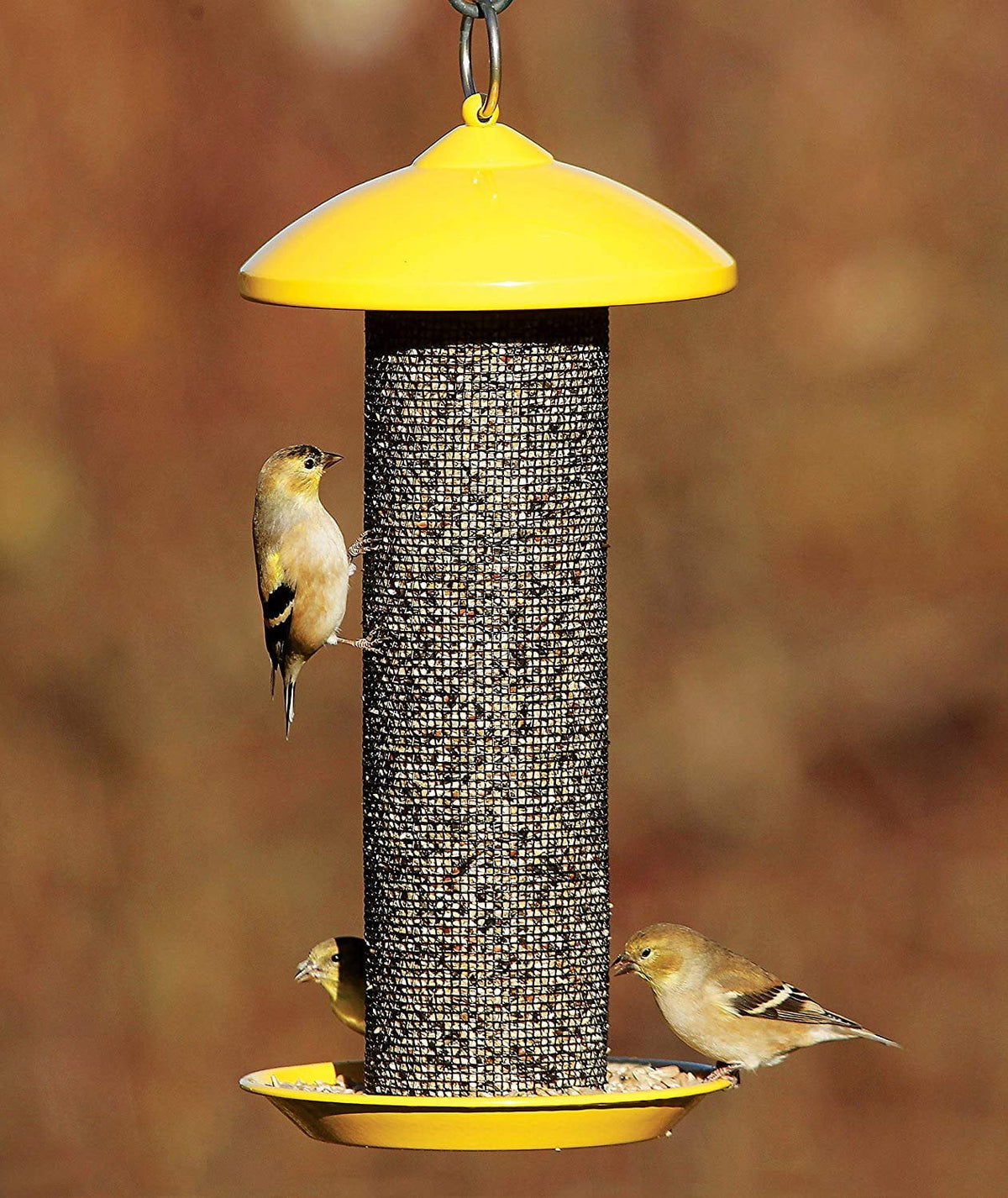 Yellow Finch Screen Bird Feeder with Metal Roof J2046