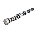 XFI Camshaft N73276
