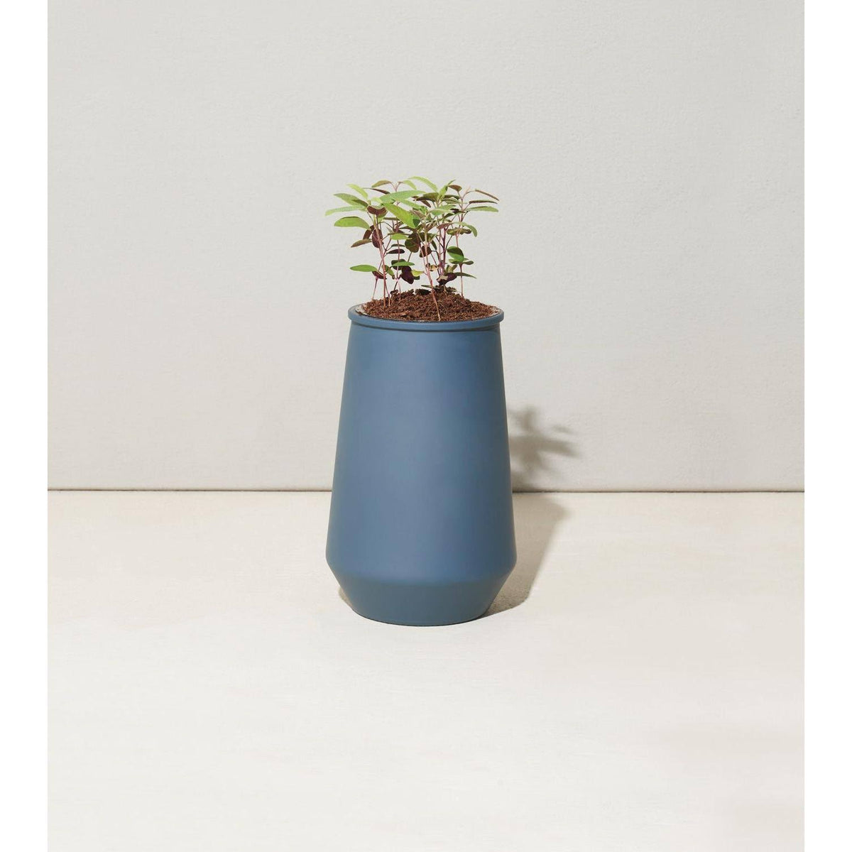 Tapered Tumbler Grow Kits, Indoor Garden Kit, Lavender & Eucalyptus (2 Jars) L418