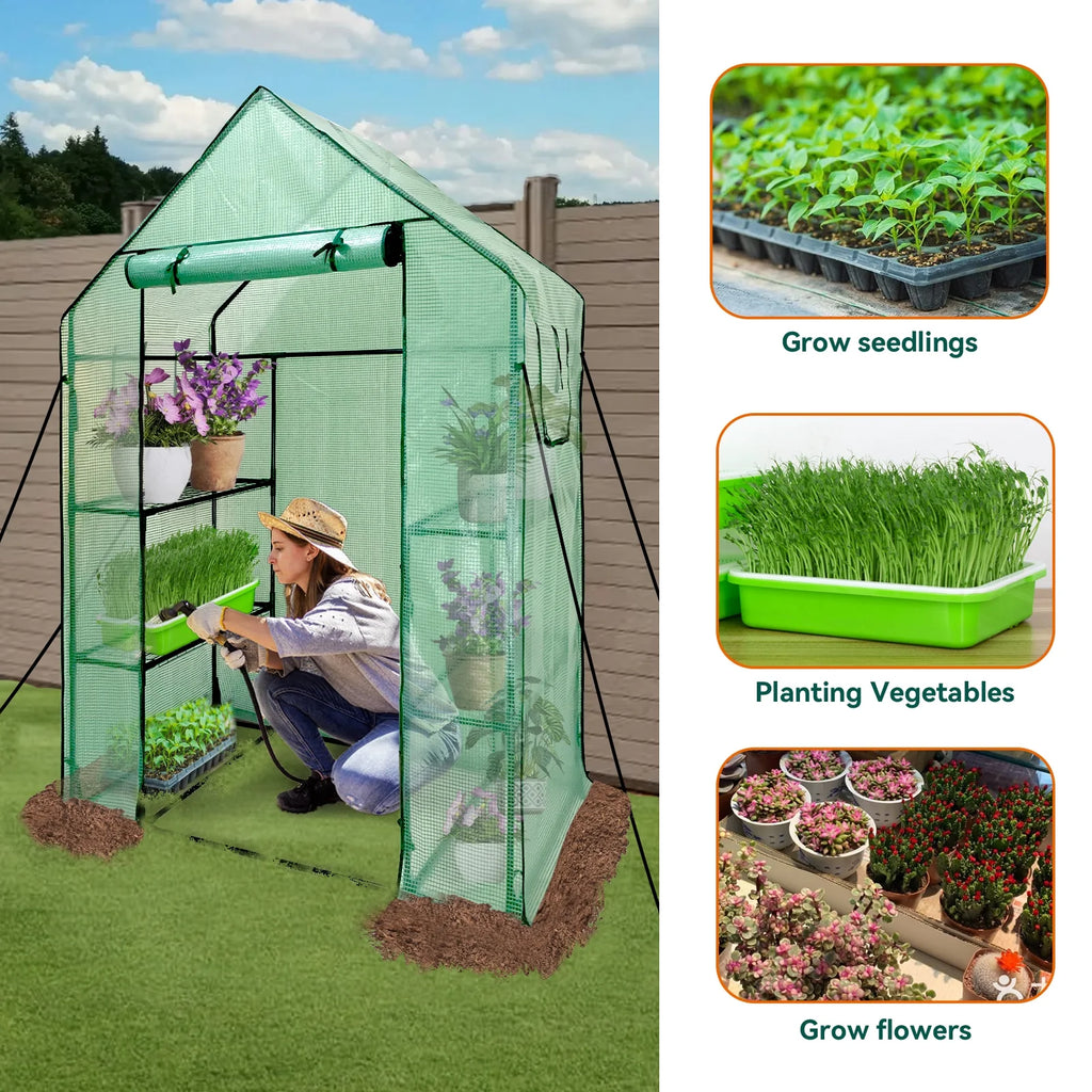 Walk-In Greenhouse Kit with Cover, 3 Tiers 6 Shelves, Portable Greenhouse with Observation Windows, PE Door, Ground Pegs & Ropes Y491