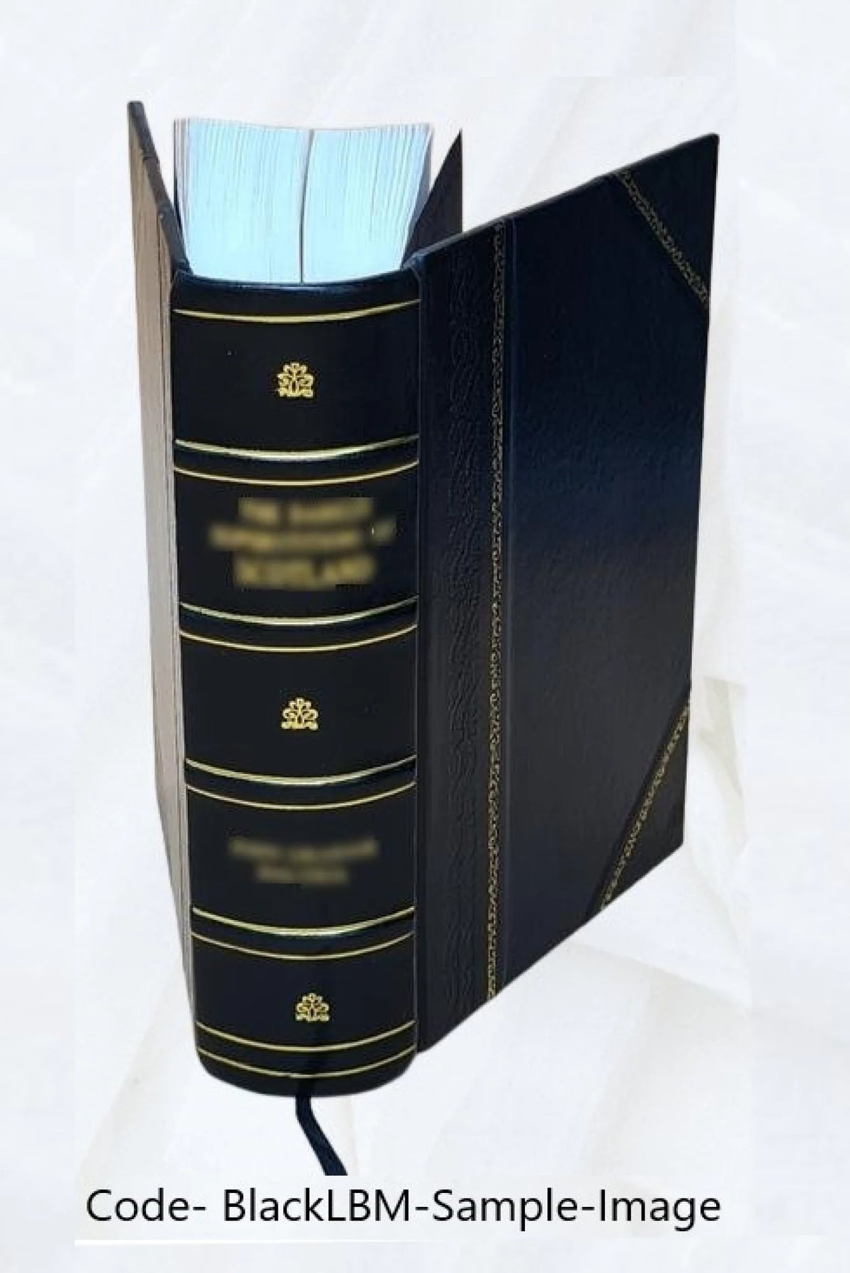 Whaling Cruise History Book E50650