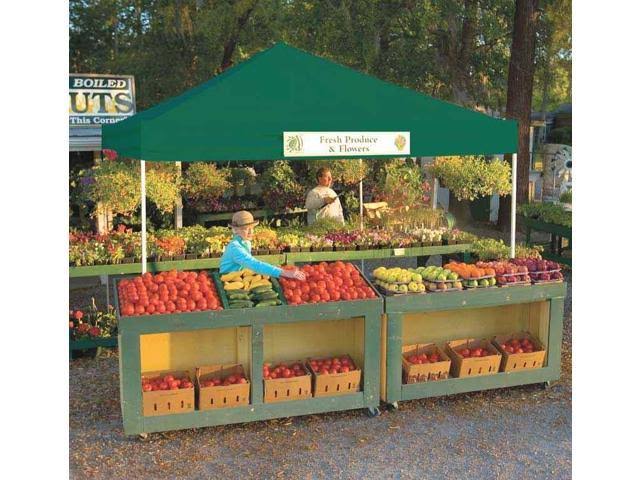 12 x 12 Green Pop-Up Canopy A7974