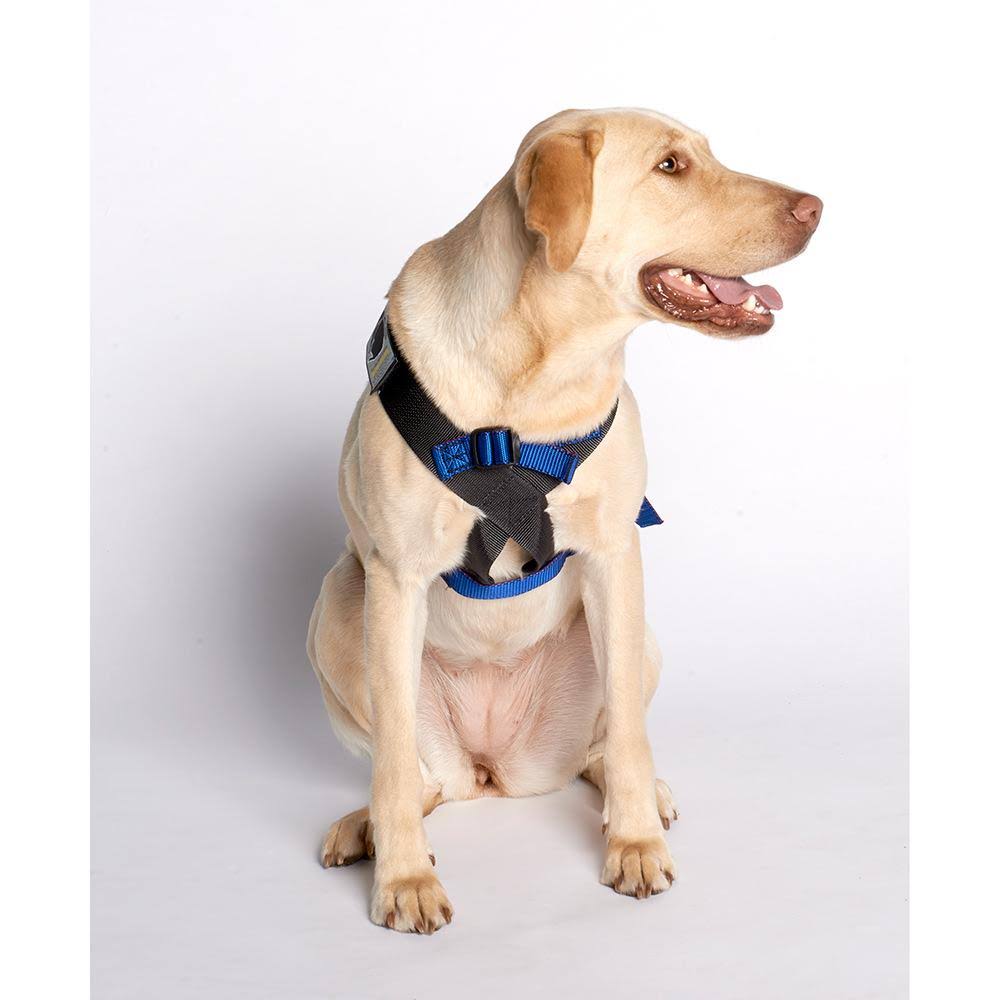 Pink Travel Safe Harness C329003