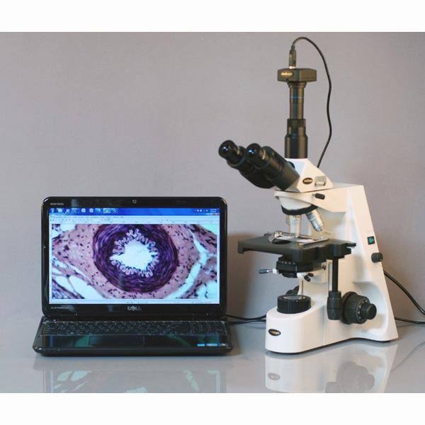 Trinocular Compound Microscope, 40X-2500X Magnification, Infinity M8370