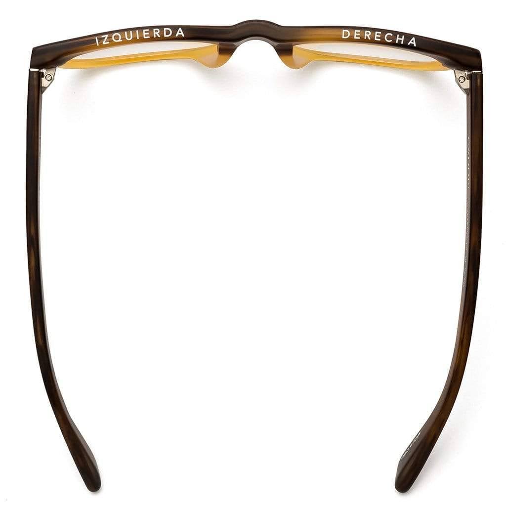 Turtle Reading Glasses +1.0 D1594