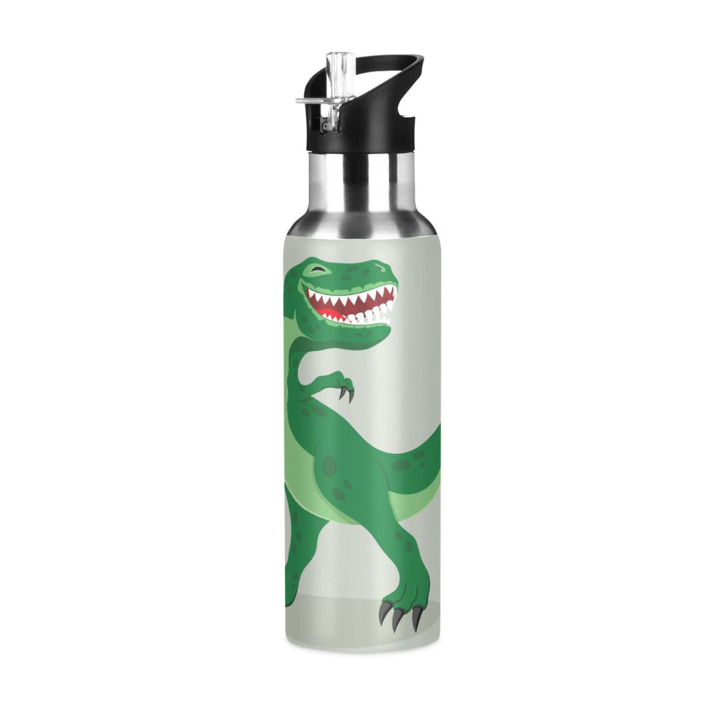 Stainless Steel Vacuum Insulated Water Bottle with Straw Lid 20 OZ Q66603