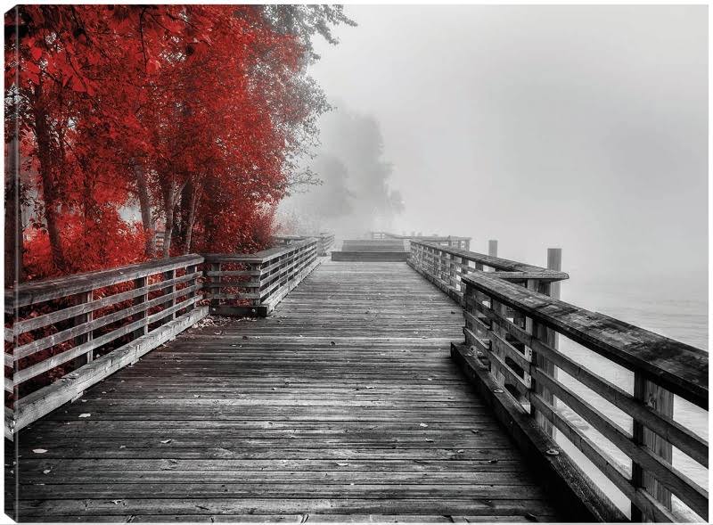32x24 Canvas Art R953557