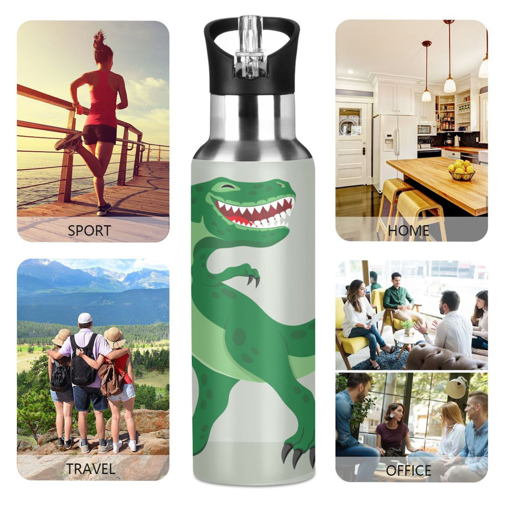 Stainless Steel Vacuum Insulated Water Bottle with Straw Lid 20 OZ Q66603