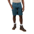 Mens Stretch Cargo Short, 34, Blue N728127